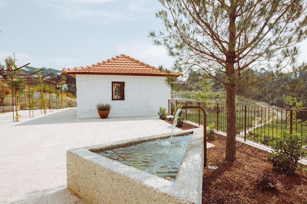 Oliveiras Village — Agroturismo Amarante Extérieur photo